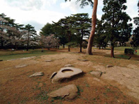 多賀城廃寺跡
