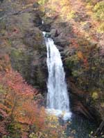 秋保大滝の紅葉・写真