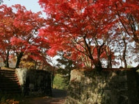 岡城阯の紅葉