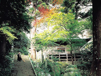 文殊仙寺の紅葉・写真
