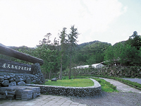 屋久島総合自然公園・写真