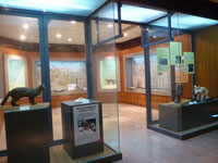 西表野生生物保護センター