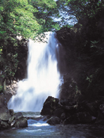 奈曽の白滝・写真