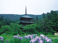 安久津八幡神社・写真