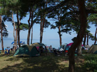 秋山浜キャンプ場・写真