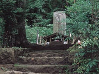 近藤勇の墓（天寧寺）・写真
