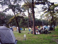 大洗キャンプ場・写真