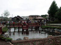イトヨの里　泉が森公園・写真