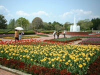 茨城県植物園