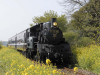 真岡鐵道の蒸気機関車・写真