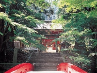 花園神社・写真