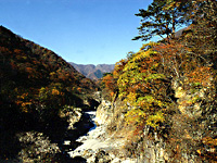 龍王峡の紅葉・写真