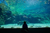 西海国立公園九十九島水族館「海きらら」・写真