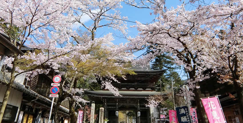 谷汲山華嚴寺 (揖斐川町)