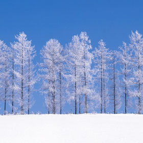 Winter in Hokkaido