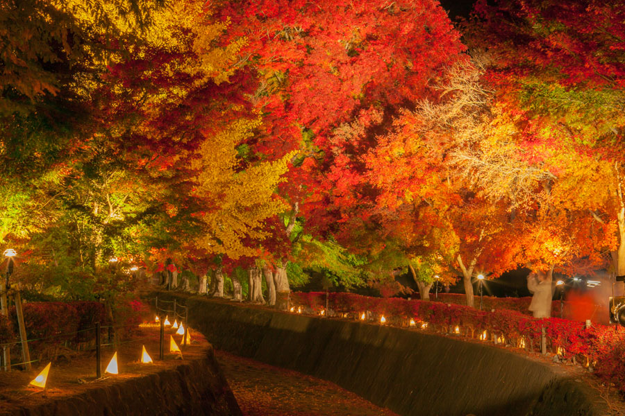 Spend The Autumn Travelling Season At Lake Kawaguchi Ko Popular Spots You Can Visit From Tokyo In Two Hours