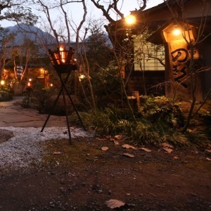 由布院溫泉湯布院旅館野菊