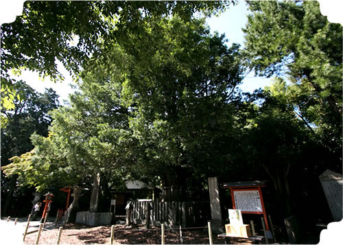Kumano Hayatama Taisha Grand Shrine