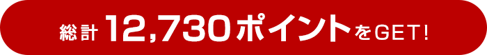 総計12,730ポイントをGET!