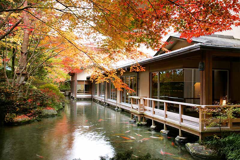 下呂温泉　水明館