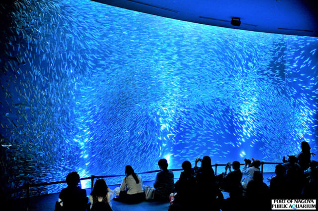 名古屋港水族館