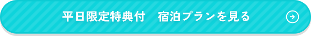 平日限定特典付き　宿泊プランを見る