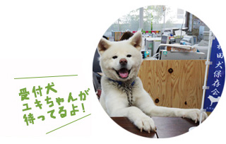 秋田犬について知りたければ、大館能代空港すぐの秋田犬会館へ