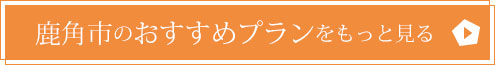 鹿角市のおすすめプランをもっと見る