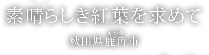 素晴らしき紅葉を求めて～秋田県鹿角市～