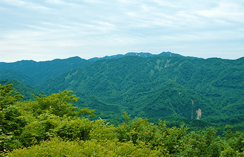 山・川・海３つが揃った自然