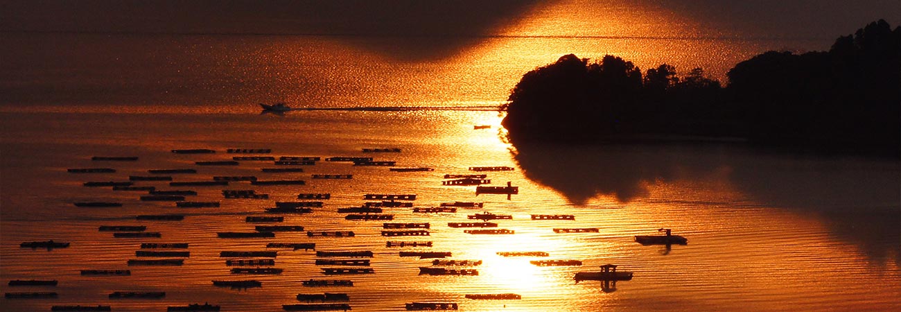 夏のおすすめ！「山陰海岸ジオパーク」 【楽天トラベル】