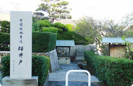 桜井戸(岩国市)