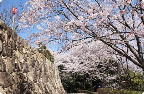 亀居公園(大竹市)