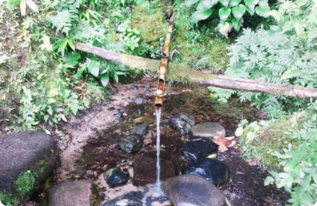 上田宗箇 岩船の水(廿日市市)