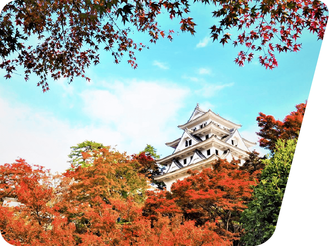 郡上八幡城