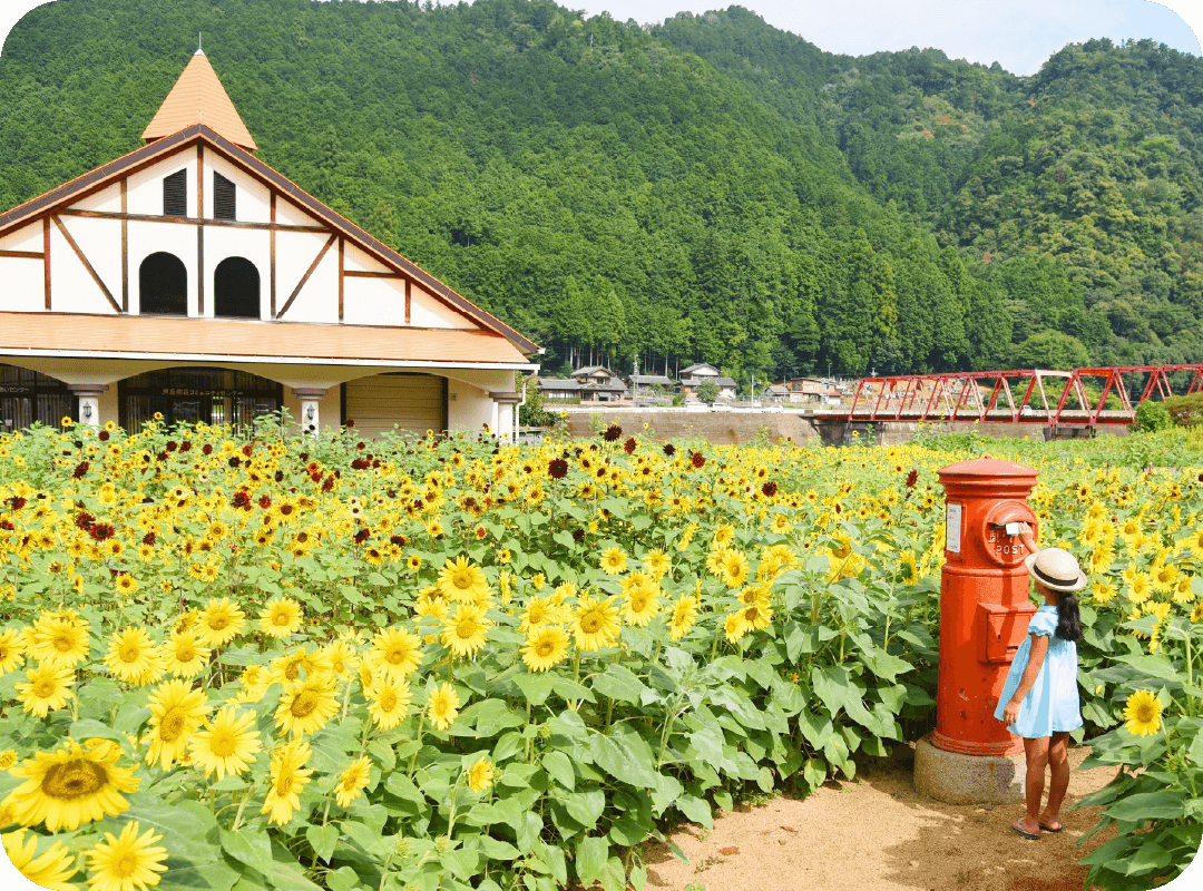 洲原ひまわりの里