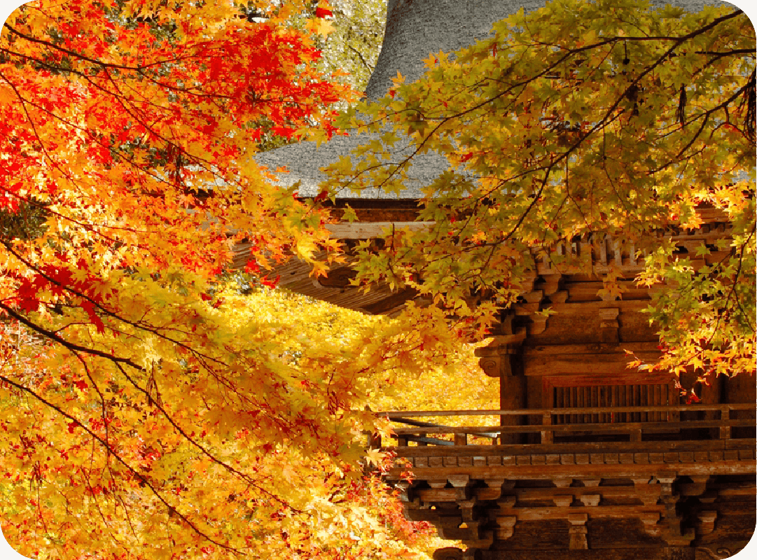 大矢田神社