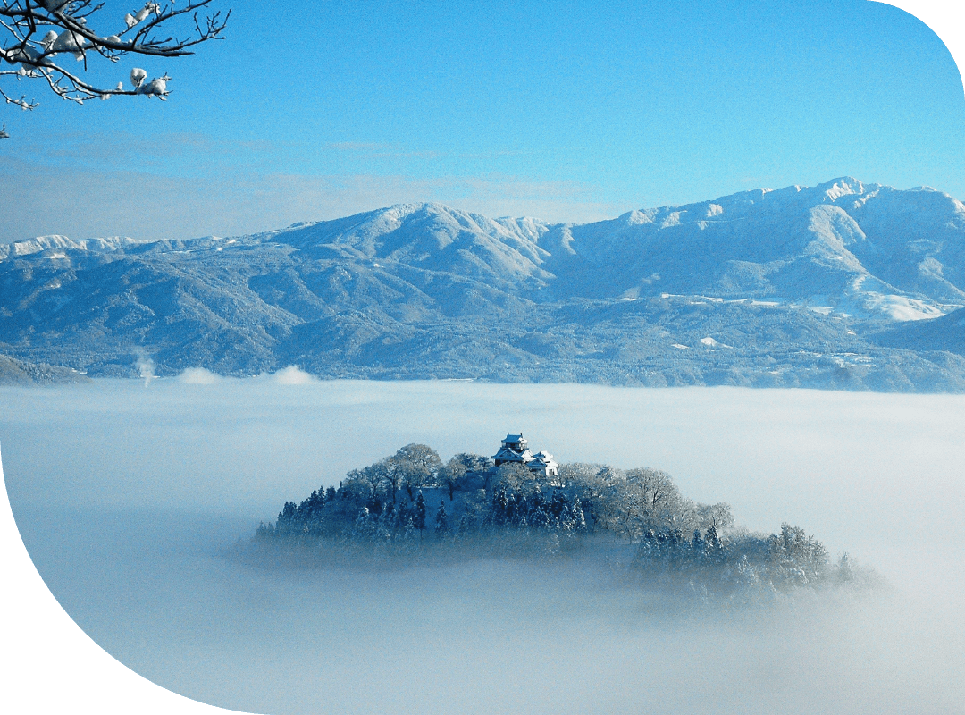 越前大野城