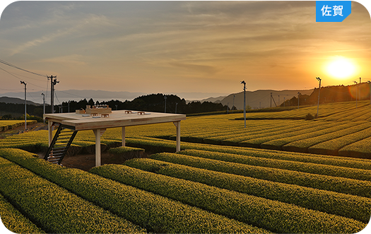 Tea tourism『茶空間体験』