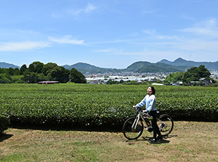 富士山や茶畑を見て、海の幸を楽しむお散歩感覚でサイクリング
