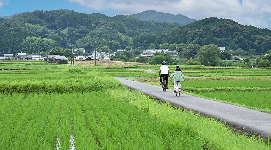 飛鳥時代の歴史を体感するサイクリングツアー