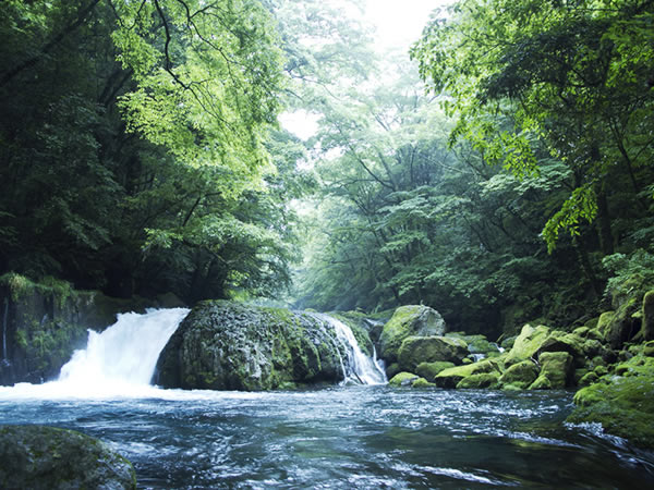 コバルトブルーの水と森の緑
大自然の神秘に魅せられる