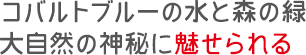 コバルトブルーの水と森の緑大自然の神秘に魅せられる