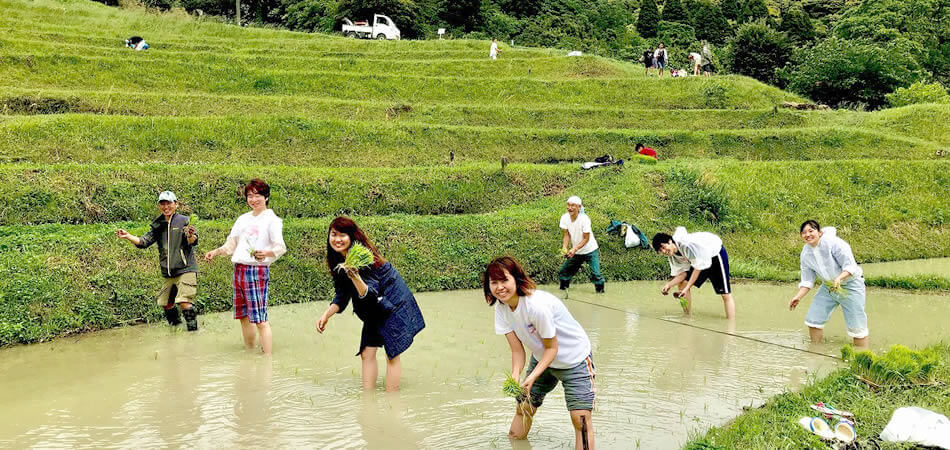 棚田の田植え体験