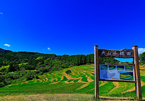 大山千枚田