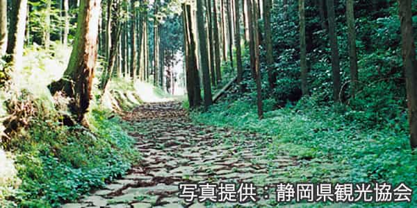 旧東海道の石畳（三島市）