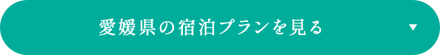 愛媛県の宿泊プランを見る