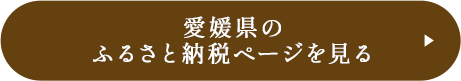 愛媛県の ふるさと納税ページを見る