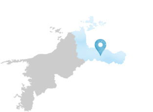東予エリア