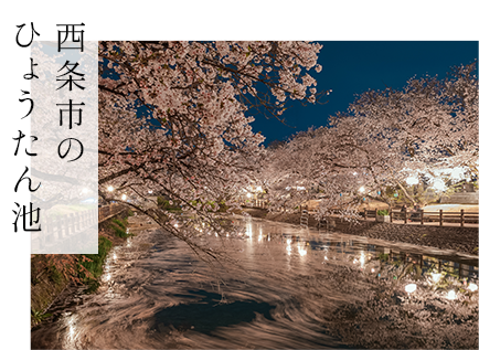 西条市のひょうたん池